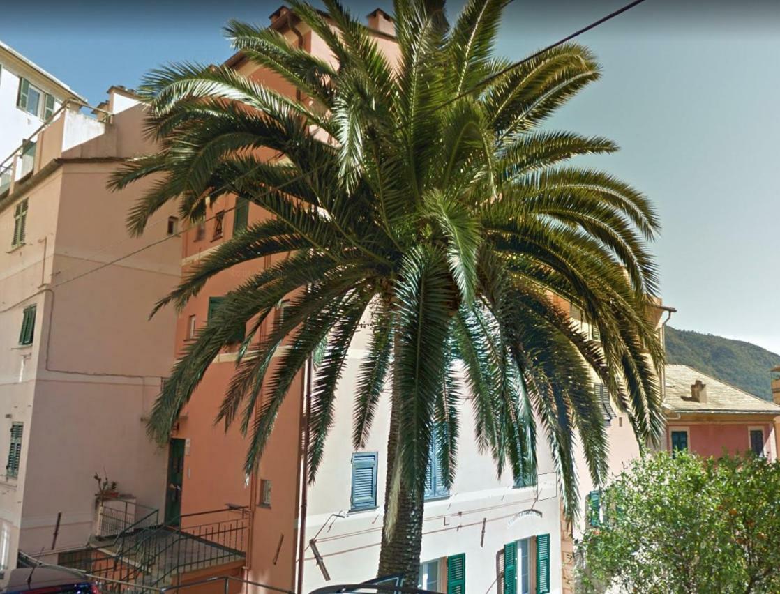 Embarcadero - Camogli & Gateway To Portofino Apartment Bagian luar foto